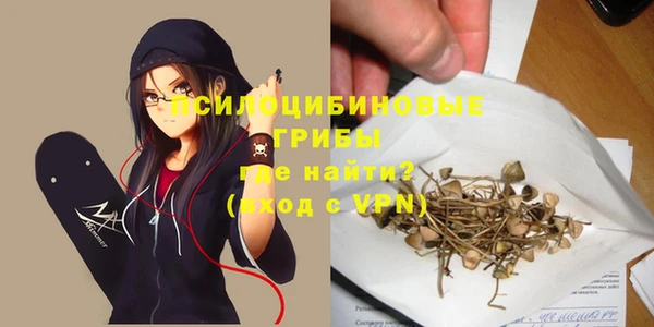дживик Новодвинск