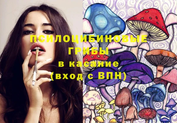 дживик Новодвинск