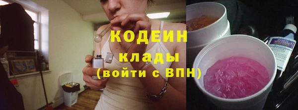 дживик Новодвинск