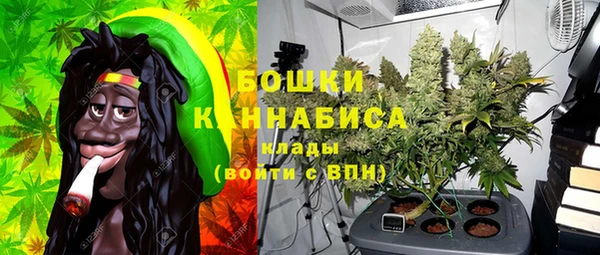 первитин Новозыбков