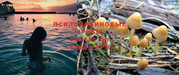 первитин Новозыбков