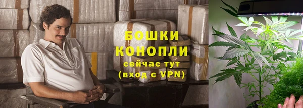 дживик Новодвинск
