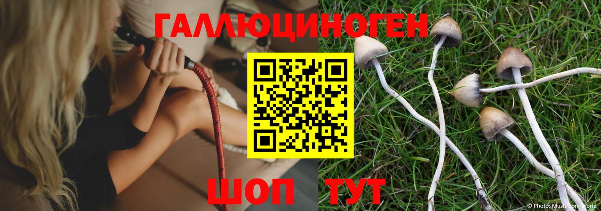 Нижнеудинск  Галлюциногенные грибы MAGIC MUSHROOMS  купить закладку  Вход с VPN 