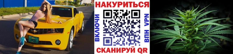 МЕГА tor  где купить наркоту  Нижнеудинск  Марихуана White Widow 